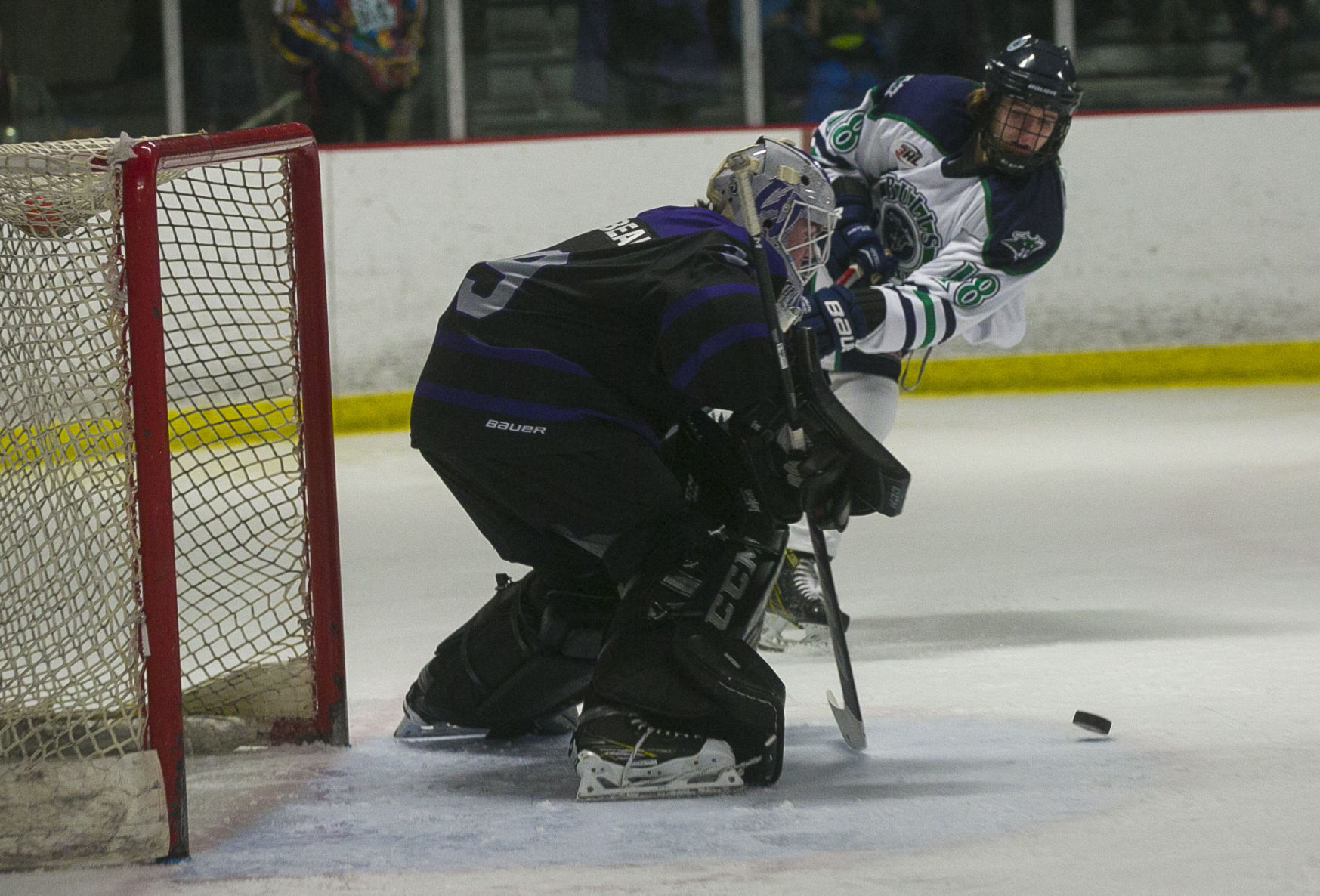 Hockey Bulls vs. Wausau 11